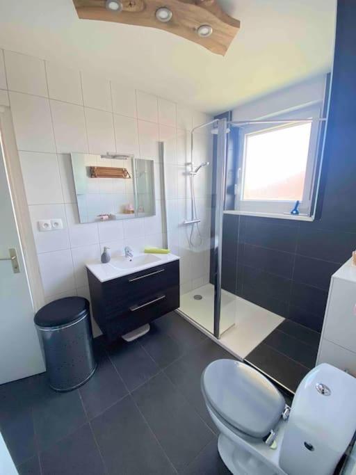 Logement Ideal Pour Un Sejour Alsacien En Amoureux 콜마 외부 사진