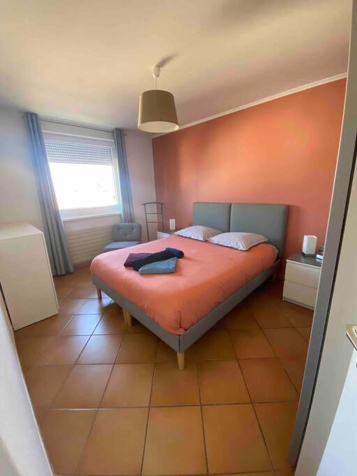 Logement Ideal Pour Un Sejour Alsacien En Amoureux 콜마 외부 사진