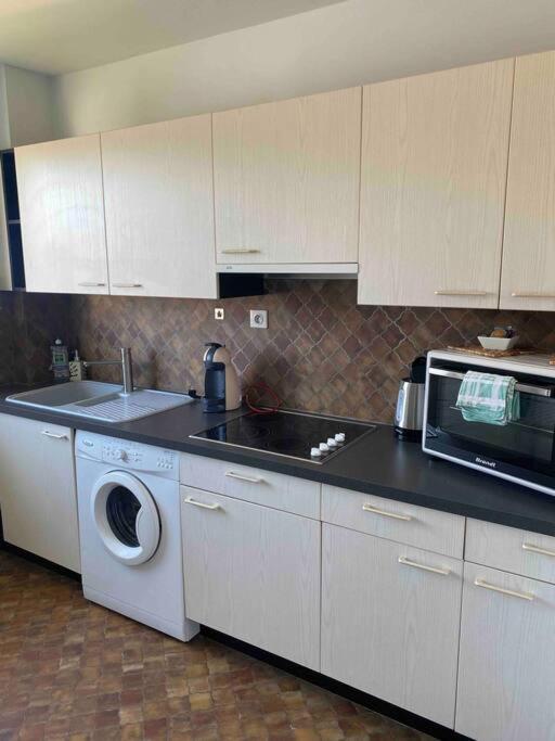 Logement Ideal Pour Un Sejour Alsacien En Amoureux 콜마 외부 사진
